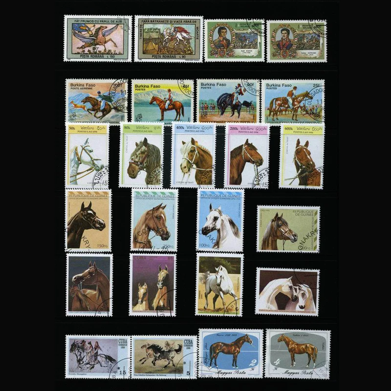 Collectible Vintage Postage Stamps - แสตมป์ 50 ม้าที่แตกต่างกัน แสตมป์วินเทจ ไปรษณีย์ขนาดใหญ่และขนาดกลาง แสตมป์โพสต์